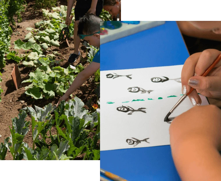 Desarrollo social y conservación de la cultura y naturaleza